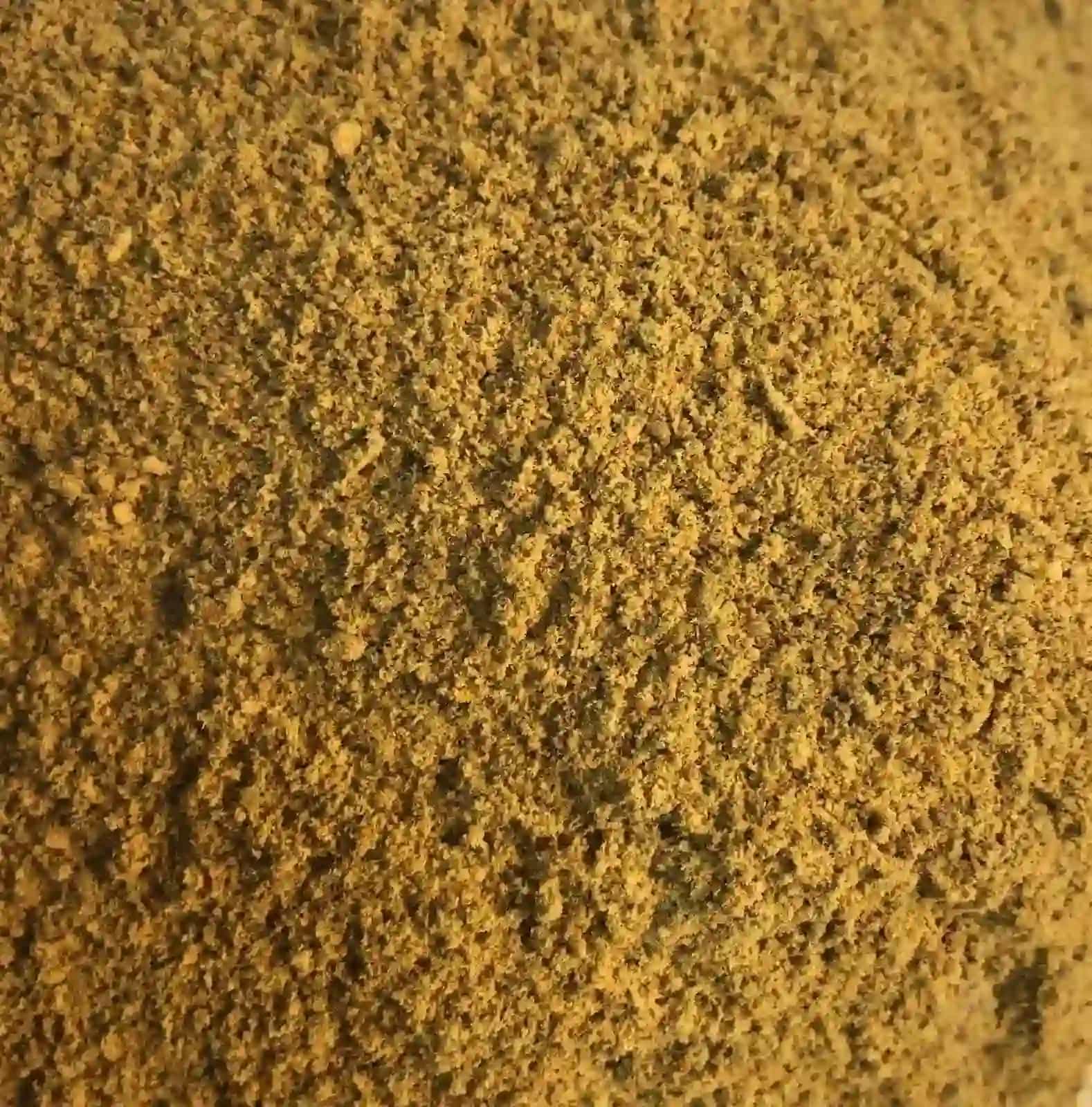 Imagen de fondo para Rendering