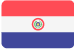Flag representing Paraguay